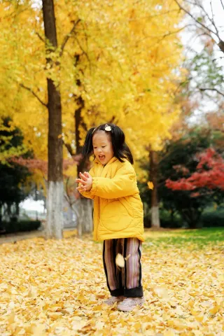 Super few people, great for photos! Two hidden ginkgo forests in Shaoxing