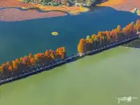 快衝!聽濤的彩林已經美到詞窮!