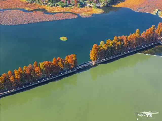 快衝!聽濤的彩林已經美到詞窮! 快衝!聽濤的彩林已經美到詞窮!