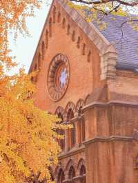 深秋限定！上海聖三一教堂銀杏與穹頂的絕美邂逅