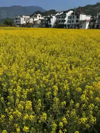 誰有去過現實版的仙俠世界?