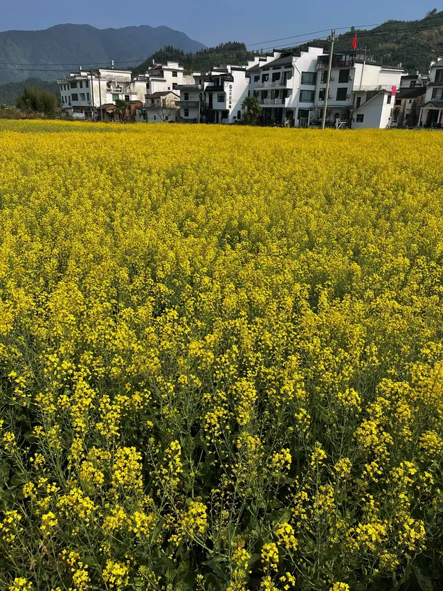 誰有去過現實版的仙俠世界? 誰有去過現實版的仙俠世界?