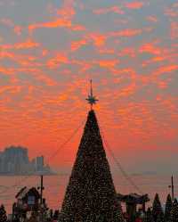 香港西九文化區聖誕樹 - 尖沙咀, 香港 - 全年 全天開放  - 超適合拍照打卡哦 - 聖誕