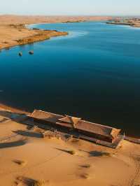 沙湖深度自然課 | 帶娃當“小小科考員”，追蹤濕地精靈，夜觀塞北