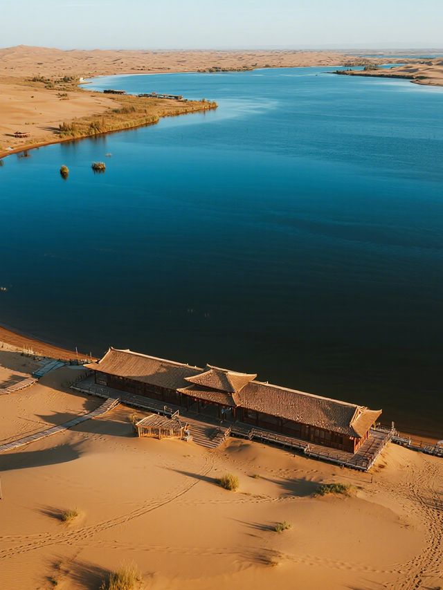 沙湖深度自然課 | 帶娃當“小小科考員”，追蹤濕地精靈，夜觀塞北