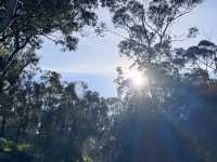 墨爾本大洋路自駕游