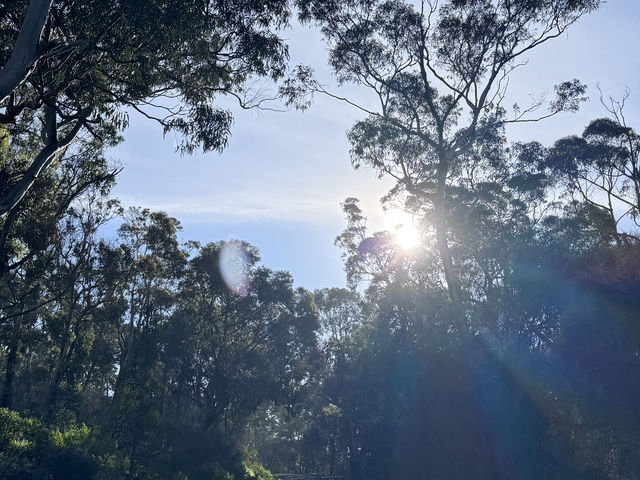 墨爾本大洋路自駕游 墨爾本大洋路自駕游