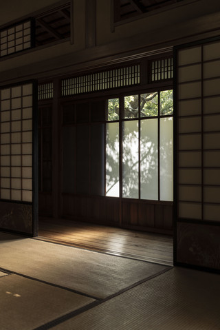 Old Movie Texture of the Former Asakura Residence