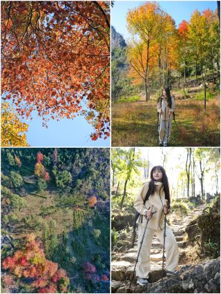 Nanning Surroundings | Feitian Lawn Maple Forest Large Lawn Campsite (Free)