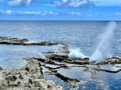 Exploring the Natural Scenery of Tongatapu Island: A Hidden Gem in the Pacific