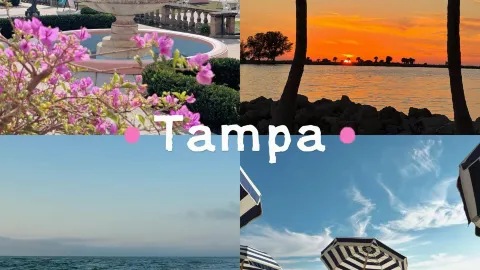 แทมปา🏖️ | วันหยุดยาววันขอบคุณพระเจ้า 5 วันในแทมปา — traveler post in Hernando County