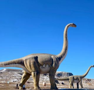 ทัวร์เจาะลึกเมืองโฮฮอต 6 วัน 5 คืน | การเดินทางสุดมหัศจรรย์ผ่านทุ่งหญ้า ภูเขาไฟ และทะเลทราย