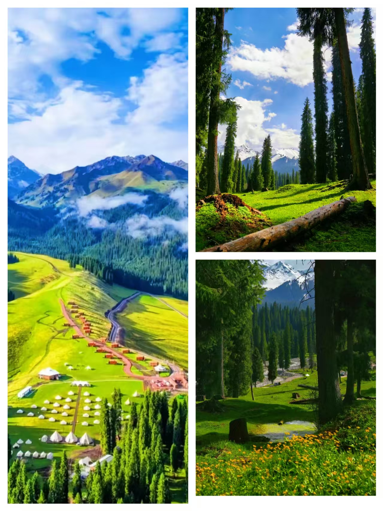 Northern Xinjiang 10-Day Itinerary, Suitable for April-June