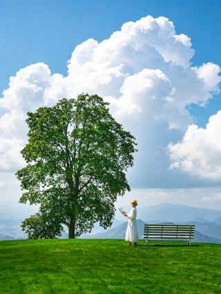 It's a pity you didn't come to Jinyun to see how beautiful this cloud secret realm is