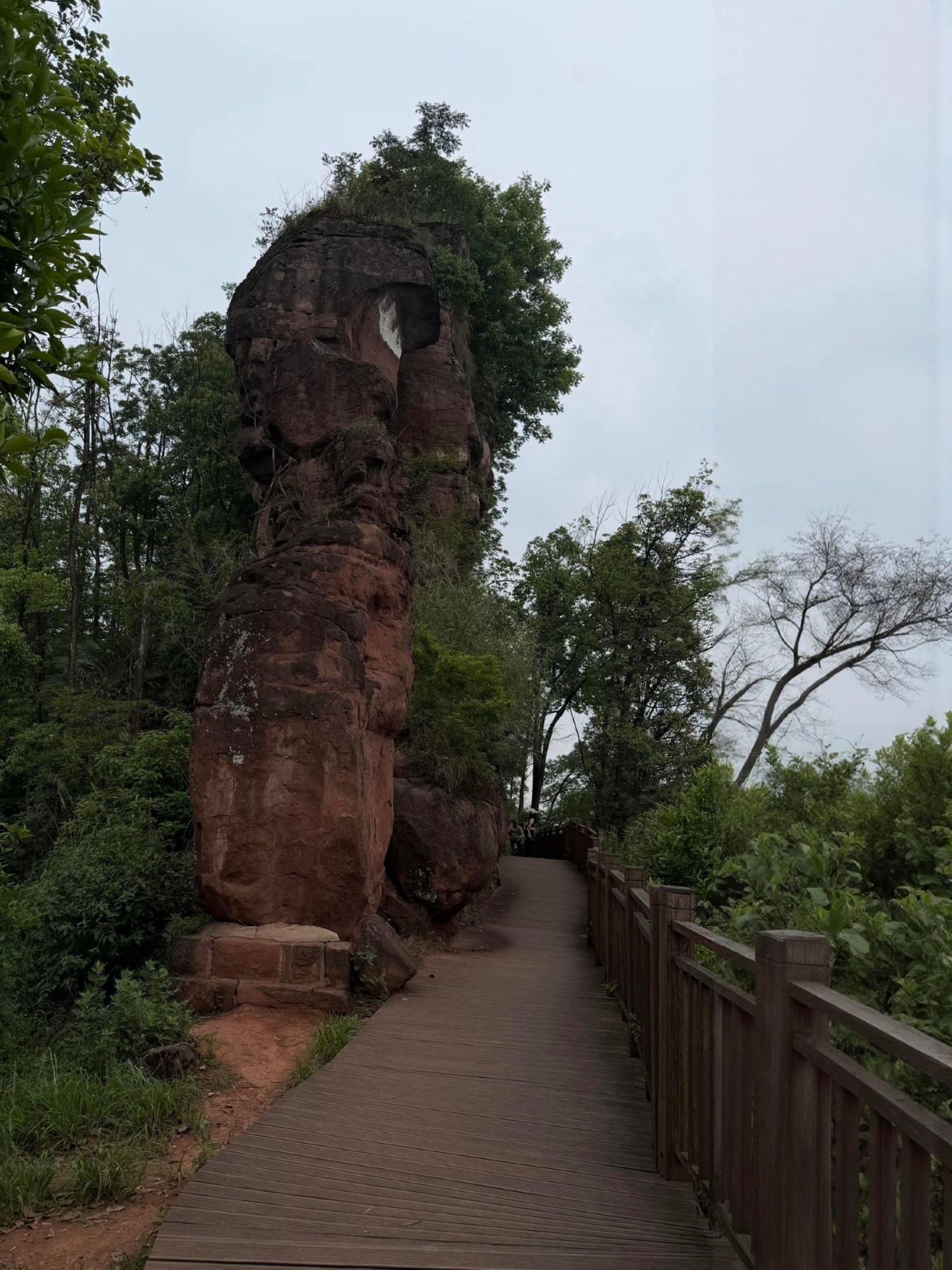 Light Hiking for the Holiday | Luzhou Bijia Mountain + Xianshi Soy Sauce Factory, 1-Day Leisure Travel Guide!