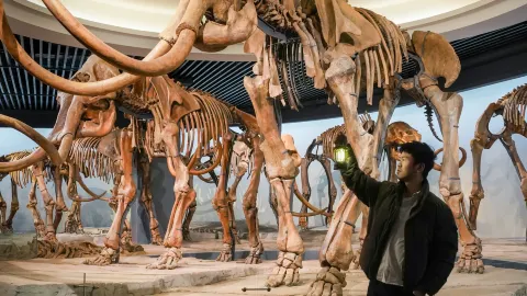 100,000 Years of Romance Hidden in This Small Town Just 1 Hour from Harbin — traveler post in Daqing
