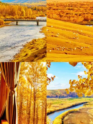 Head to the Greater Khingan Mountains! Unlock the top autumn scenery of the north in 3 days and 2 nights
