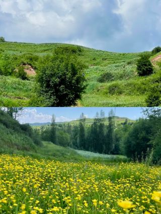 新疆が天井だと思っていたが、22℃の陇中の秘境に足を踏み入れるまで、その後の衝撃は大きかった