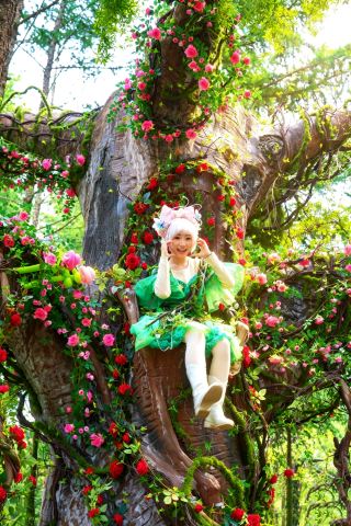 Heal your whole summer in the 16°C colorful forest This summer vacation, gather your friends, hit the gas, and drive 4 hours north from Beijing to escape the steaming city
