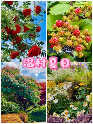 調色盤をひっくり返した夏｜自然の最も濃厚な色彩をレンズに映し出す