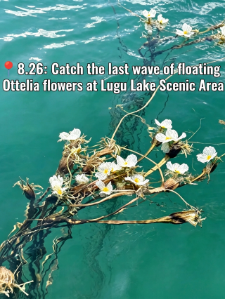 Take my advice! Lugu Lake is only a fairyland if you stay in the right place—this hotel is a total winner.
