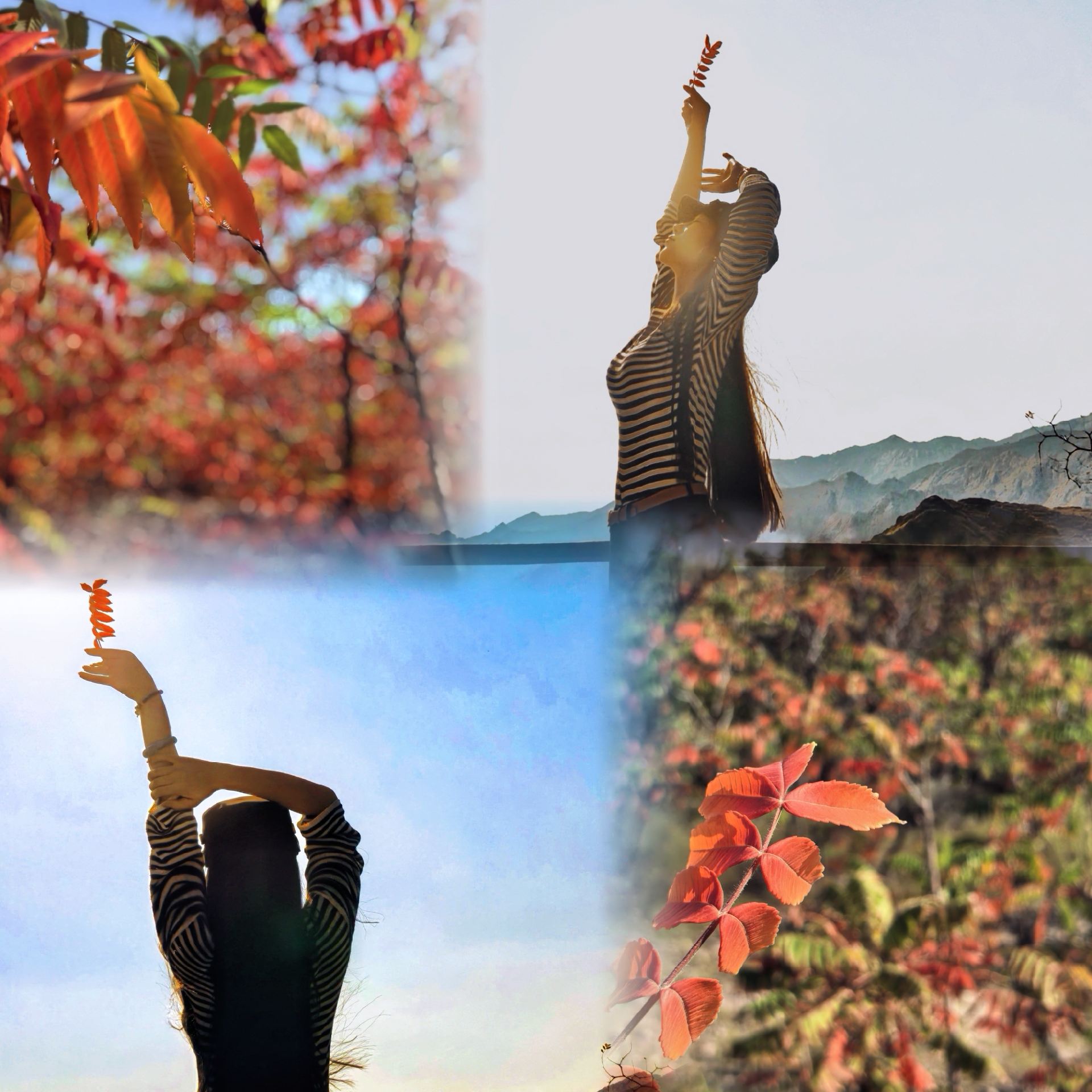 Autumn Getaway Near Yinchuan | See Red Leaves and Feel the Mountain Breeze at Beiwudang Mountain