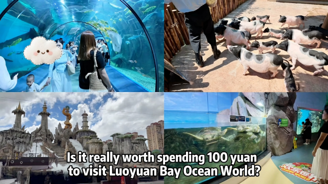 Enjoy a full day at Luoyuan Bay Ocean World for CNY 100