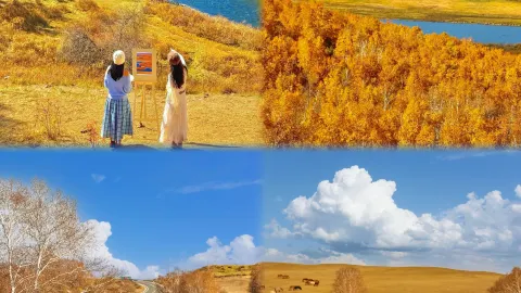 Lupakan Ulan Butong yang Biasa! Rahasia Lokal untuk Pemandangan Musim Gugur Bashang Terbaik! 🍂 — traveler post in Bashang