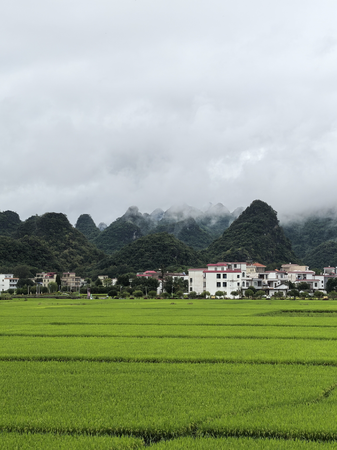 Yongzhou | A trip to an ancient city where Liu Zongyuan "tricked" me into visiting