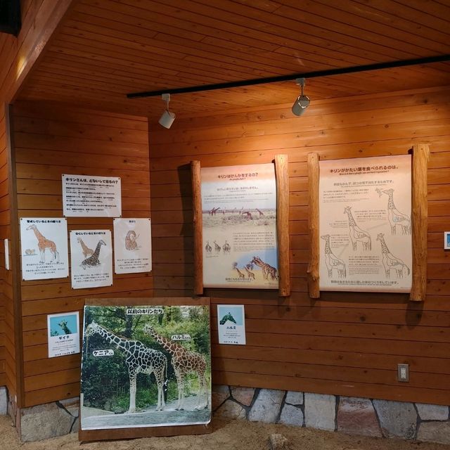 わかりやすい！大阪eco動物海洋専門学校　天王寺動物園