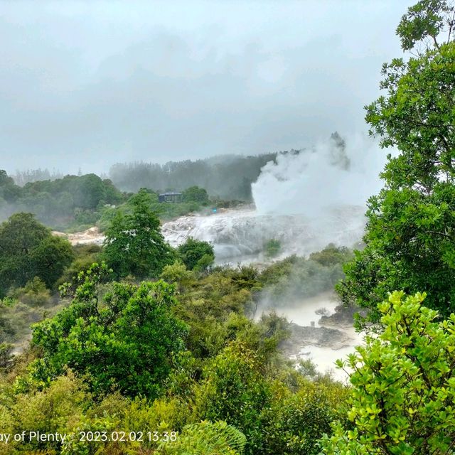 Wonderful Enriching Experience in Rotorua 