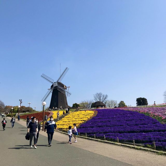 大阪にあるオランダのような風景の公園【花博記念公園 鶴見緑地】
