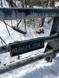 東京近郊🍀冬日輕井澤絕美打卡靚景—雲場池