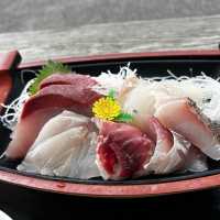 Super fresh sashimi tasting in Niigata 