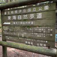 富岳風穴 WIND CAVE