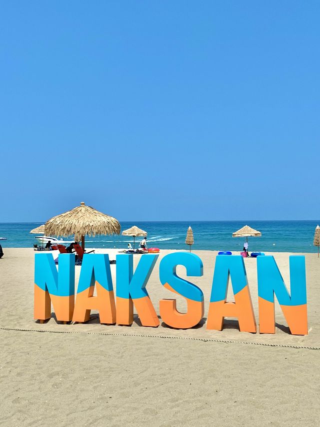 양양에서 제일 청량한 바다🌊 낙산해수욕장🏖️💙