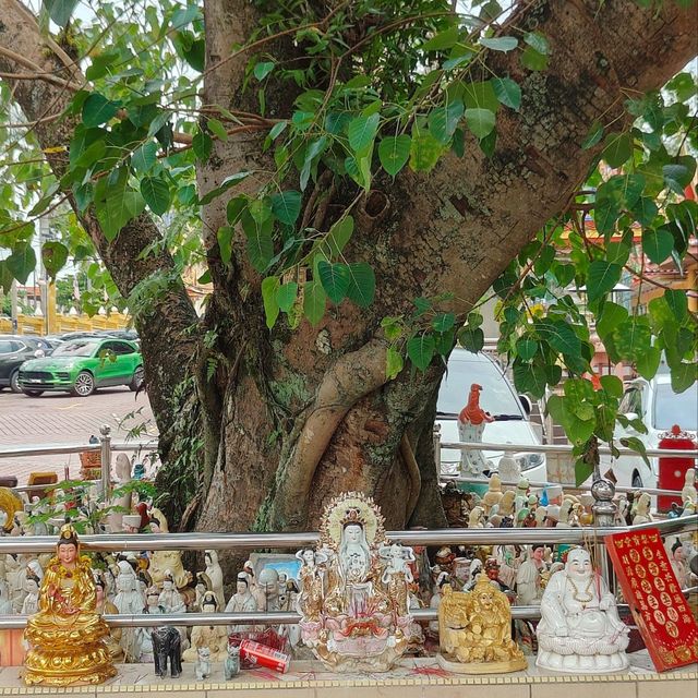 位於Petaling Jaya的的泰式皇家智達苑佛寺 位於Petaling Jaya的的泰式皇家智達苑佛寺