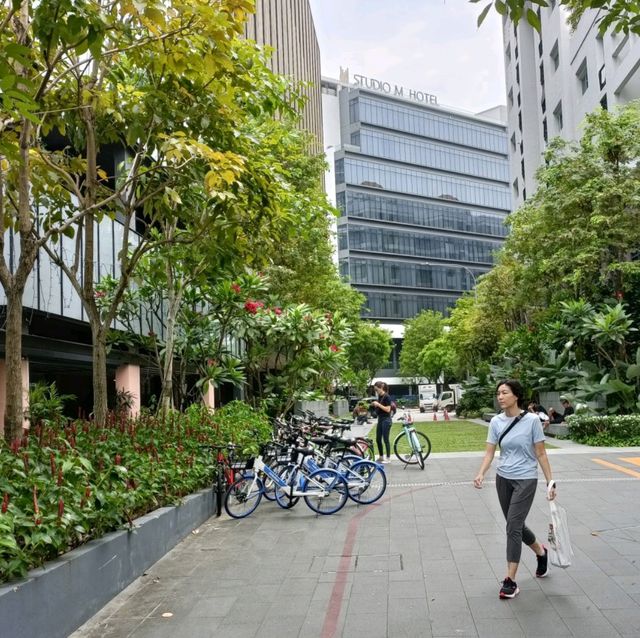 Cycling at Nanson road