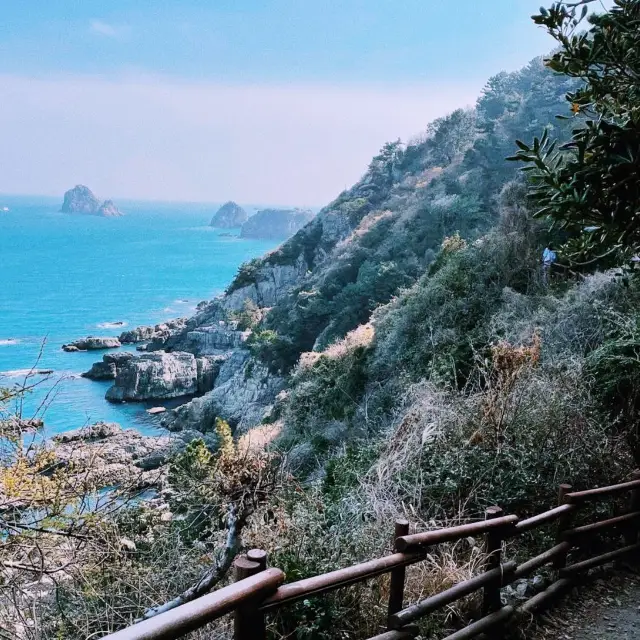 🌊 부산의 아름다운 해안선을 따라 이기대 수변공원에서.