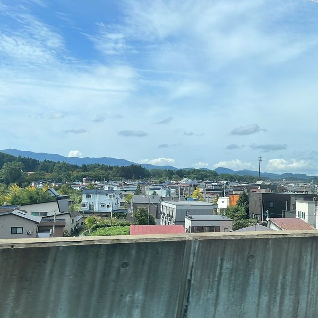 來到蕪嶋神社見黑尾鷗！