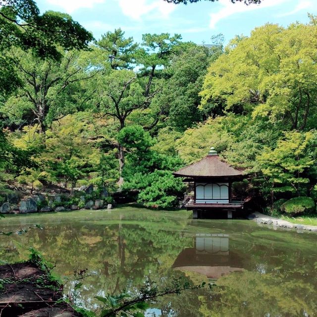 和歌山周辺観光に最適！カンデオホテルズ南海和歌山