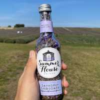 MUST Visit 🇬🇧 Hitchin Lavender Farm