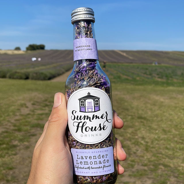 MUST Visit 🇬🇧 Hitchin Lavender Farm