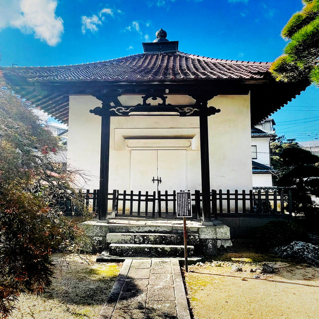 【長野県/美しい紅葉🍁と庭園を縁側から眺められるお寺】