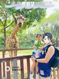 深圳動物園攻略