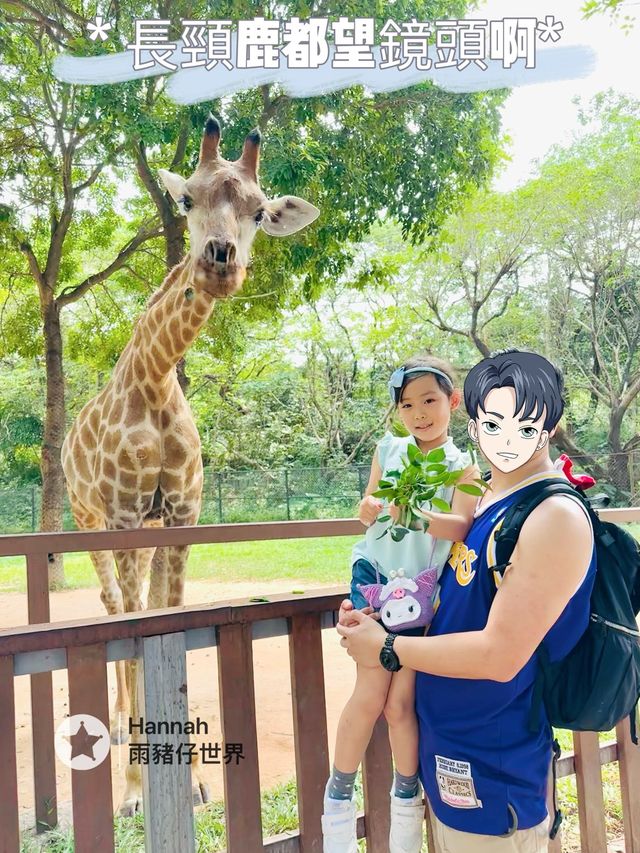 深圳動物園攻略