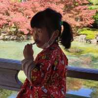 ฤดูใบไม้ผลิ 西山公園