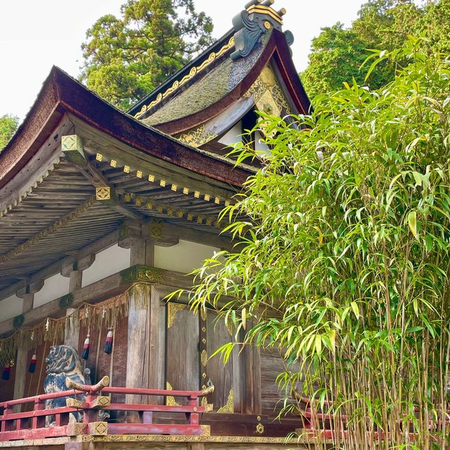 Sacred Harmony: Hiyoshi Taisha's Sanctuaries
