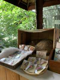 Teddu Coffee & Inn Maekampong