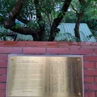 訊號山花園 - 鬧市中既寧靜花園